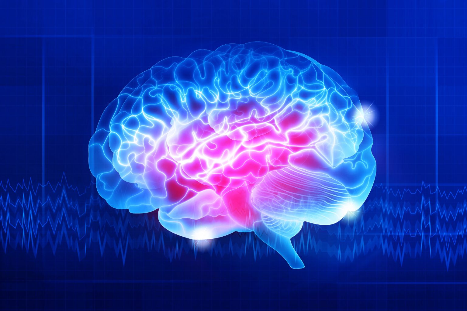 neuroscience-and-neurotechnology-primer-neurotech-microcredential-program