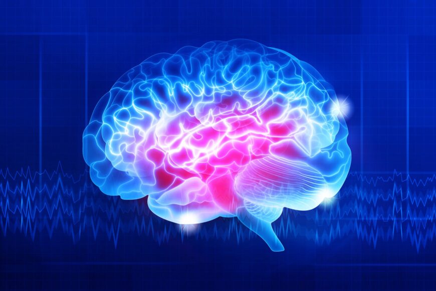 Neuroscience and Neurotechnology Primer