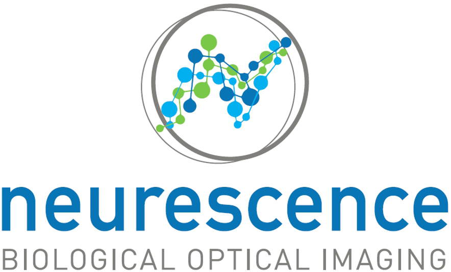 Neuroscence Biological Optical Imaging